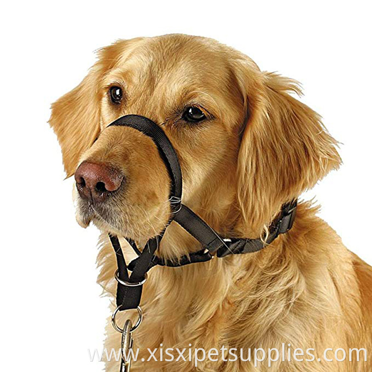 Durable Best Selling Dog Head Collar No Pull Training Tool for Dogs COLLARS Personalized Nylon Quick Release Padded All Seasons